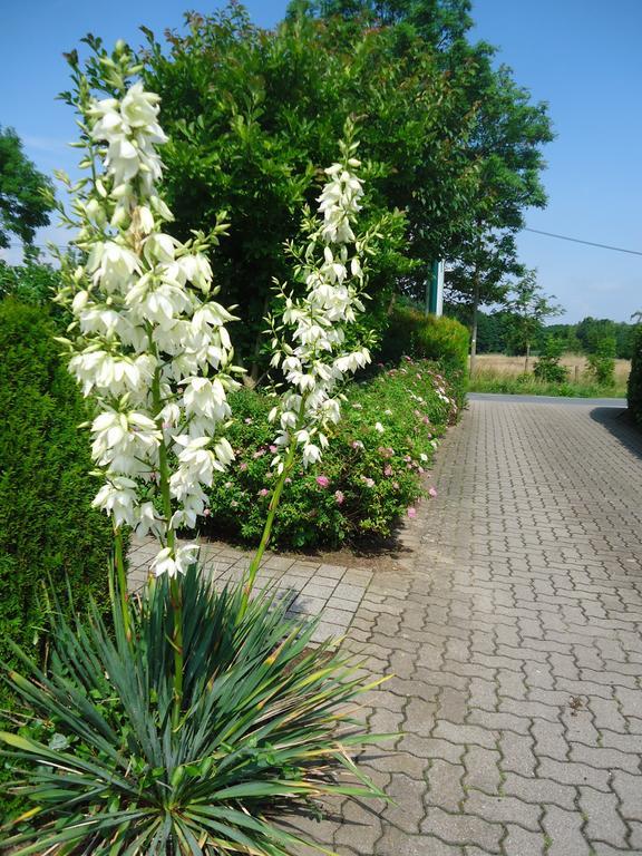 Das Fritz Hotel Schwerin Schoene Lage Im Gruenen Mit Regionaler Kueche Kostenfreien Parkplaetzen Und E Ladestation Bagian luar foto